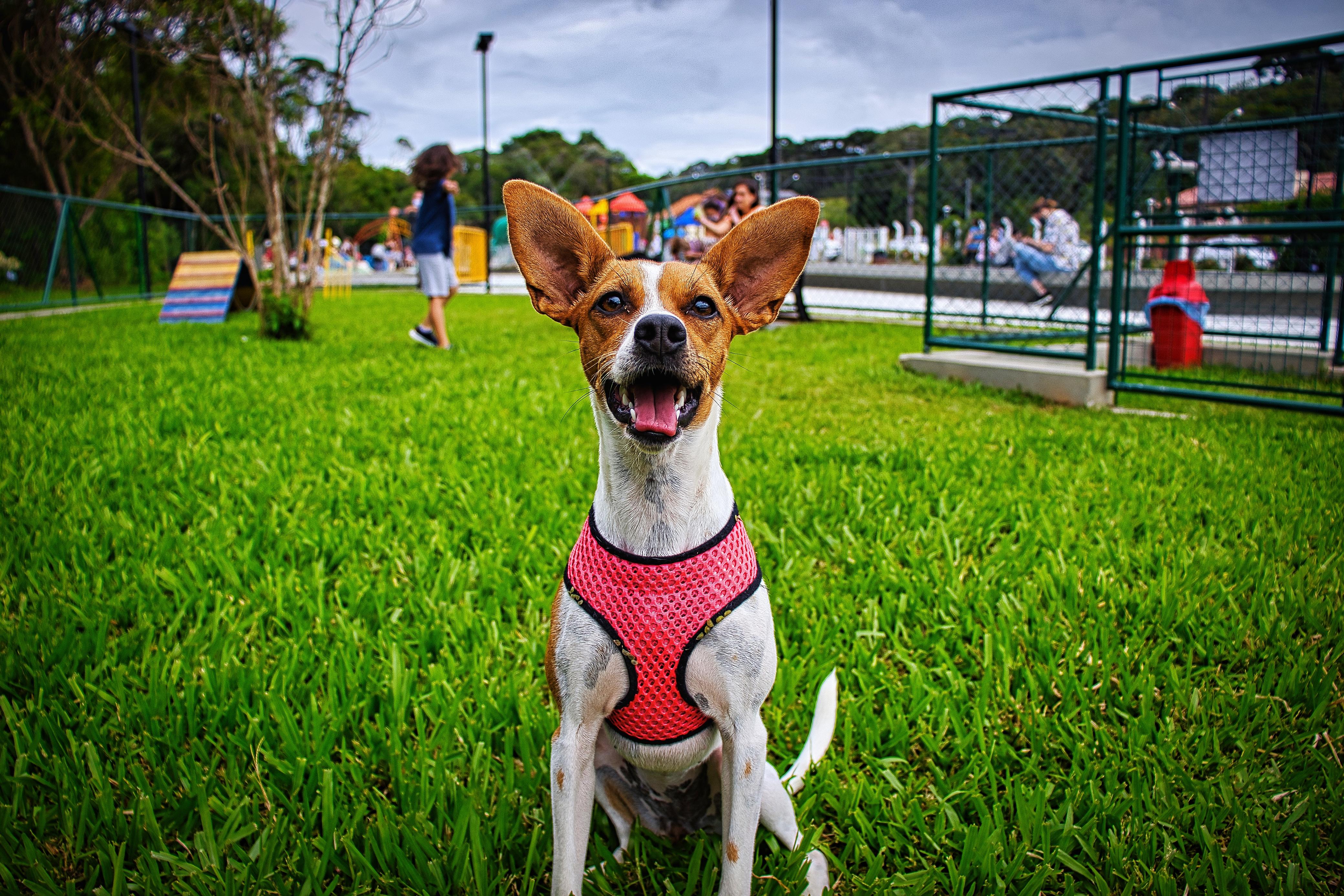 Login background image